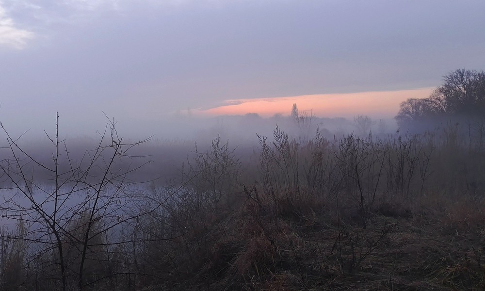 Фотографія Холодний туман / Anatoliy Storchak / photographers.ua