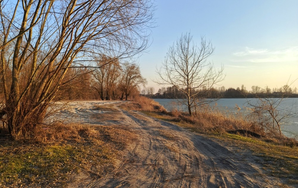 Фотографія На прогулянці / Anatoliy Storchak / photographers.ua