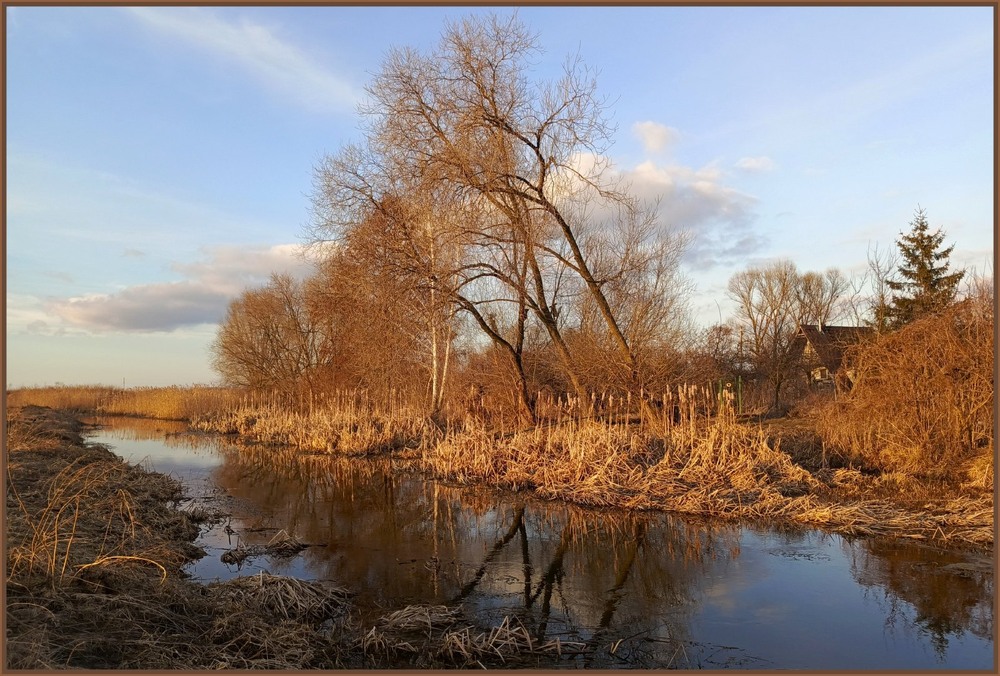 Фотографія Весняна історія / Anatoliy Storchak / photographers.ua