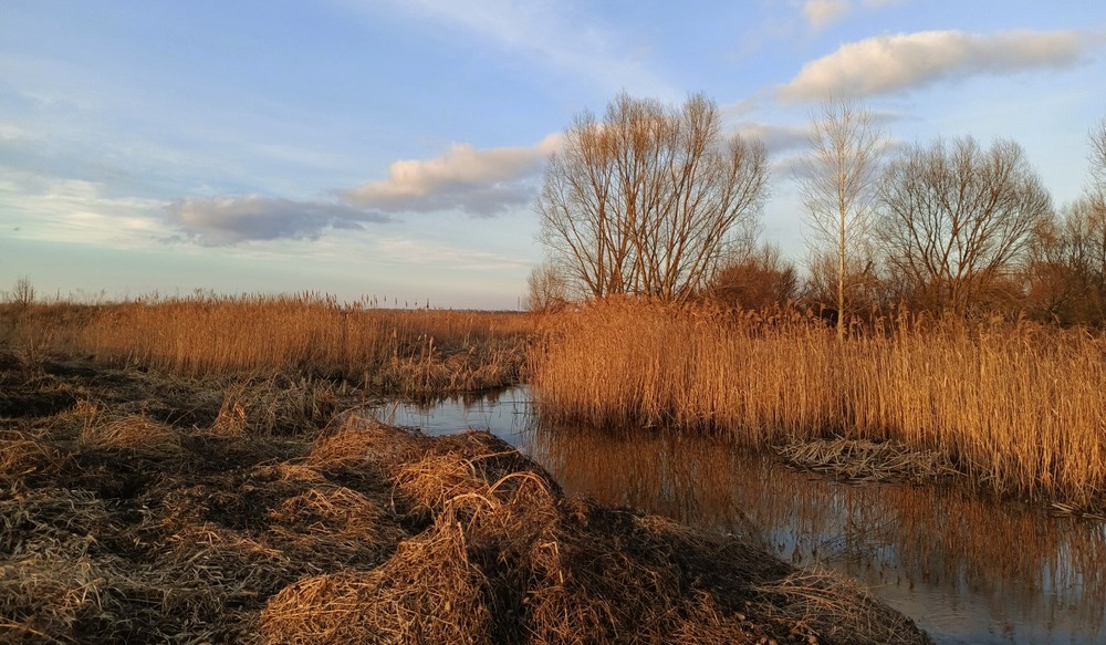 Фотографія Березень вертається надією / Anatoliy Storchak / photographers.ua