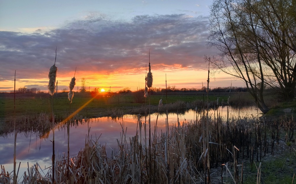 Фотографія Вечірній промінь / Anatoliy Storchak / photographers.ua