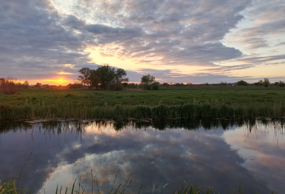 Фотографія Наприкінці дня / Anatoliy Storchak / photographers.ua