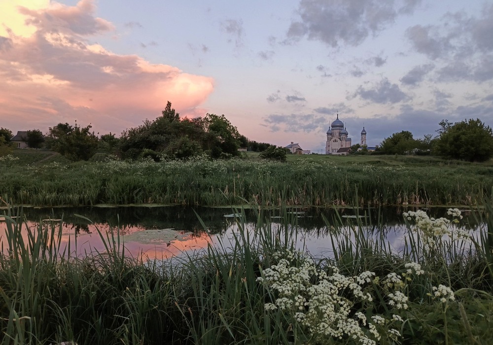 Фотографія В кінці травня / Anatoliy Storchak / photographers.ua