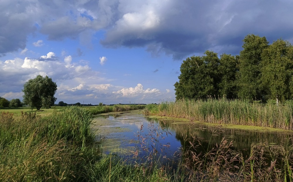 Фотографія Соковиті кольори літа / Anatoliy Storchak / photographers.ua