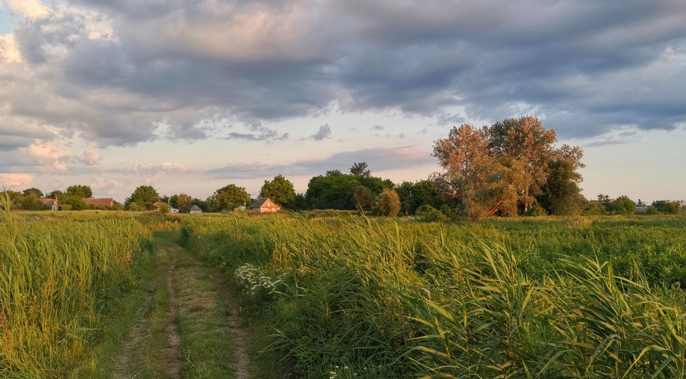 Фотографія За селом / Anatoliy Storchak / photographers.ua