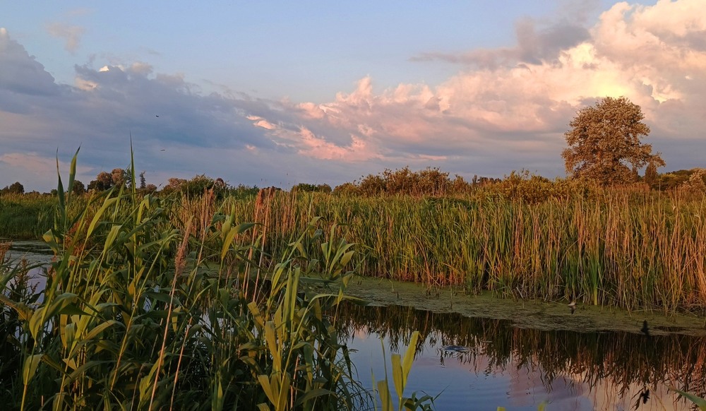 Фотографія Пейзаж / Anatoliy Storchak / photographers.ua