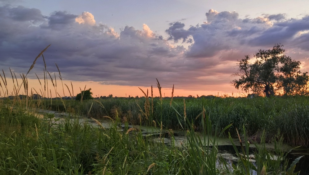 Фотографія Біля річки вечоріє / Anatoliy Storchak / photographers.ua