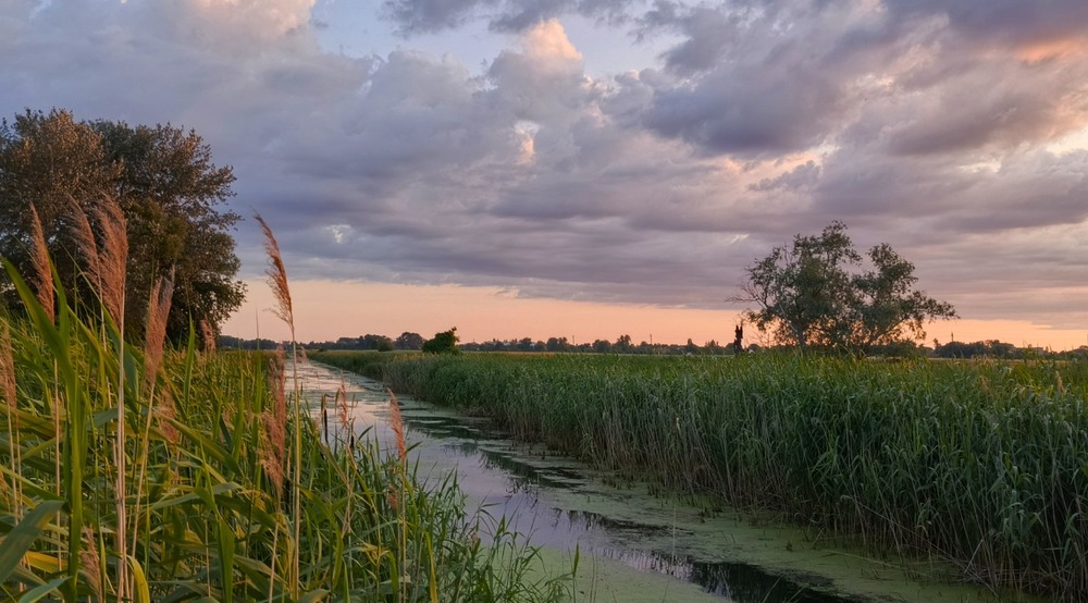 Фотографія Вечір біля річки / Anatoliy Storchak / photographers.ua