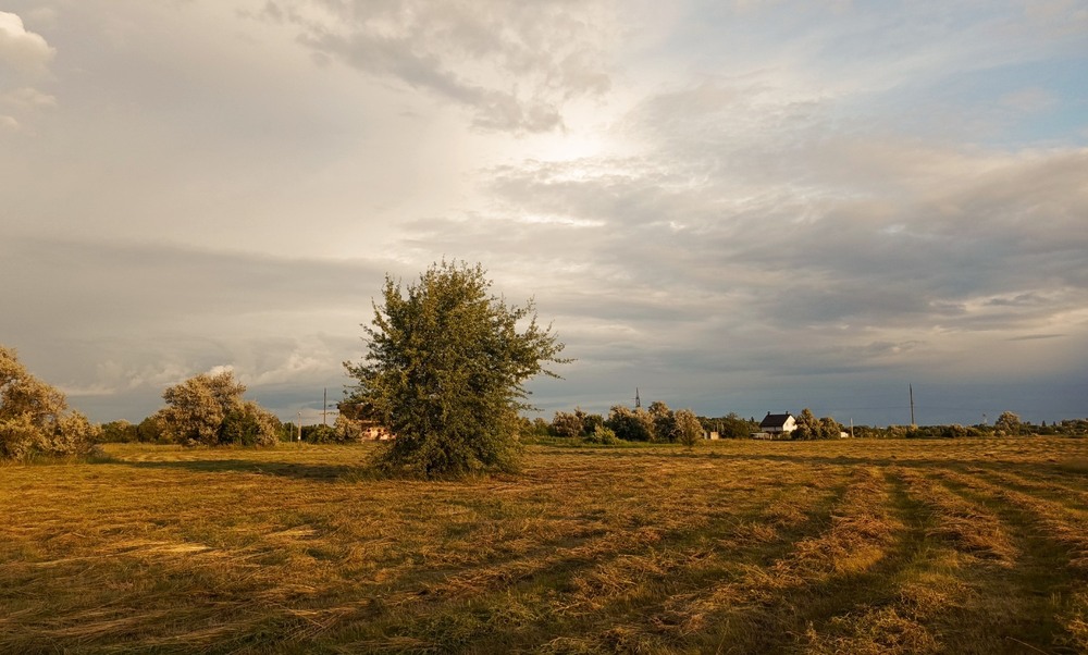 Фотографія Спекотне літо / Anatoliy Storchak / photographers.ua