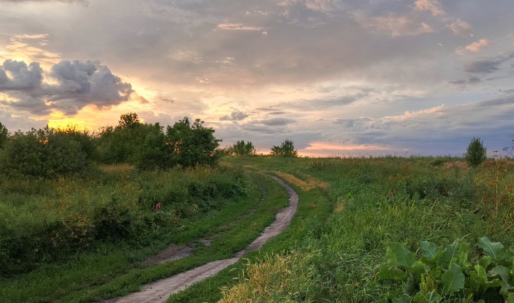 Фотографія Літній вечір / Anatoliy Storchak / photographers.ua