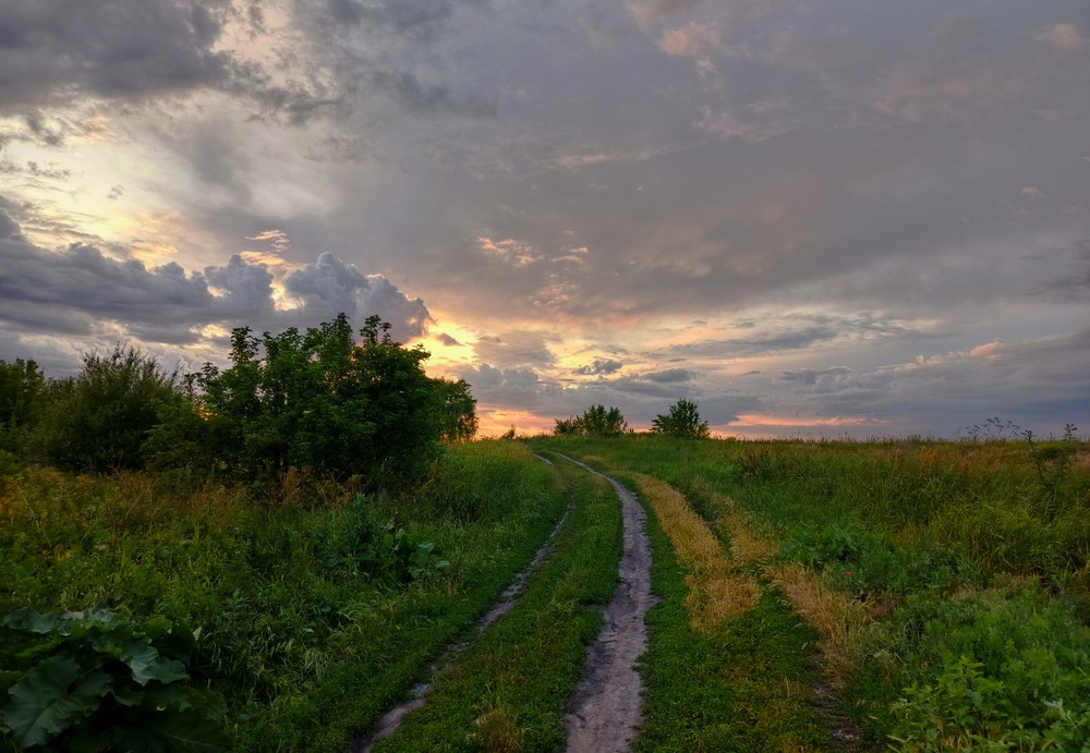 Фотографія Вечоріє / Anatoliy Storchak / photographers.ua