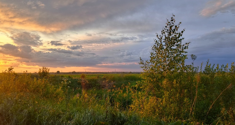 Фотографія На заході дня / Anatoliy Storchak / photographers.ua