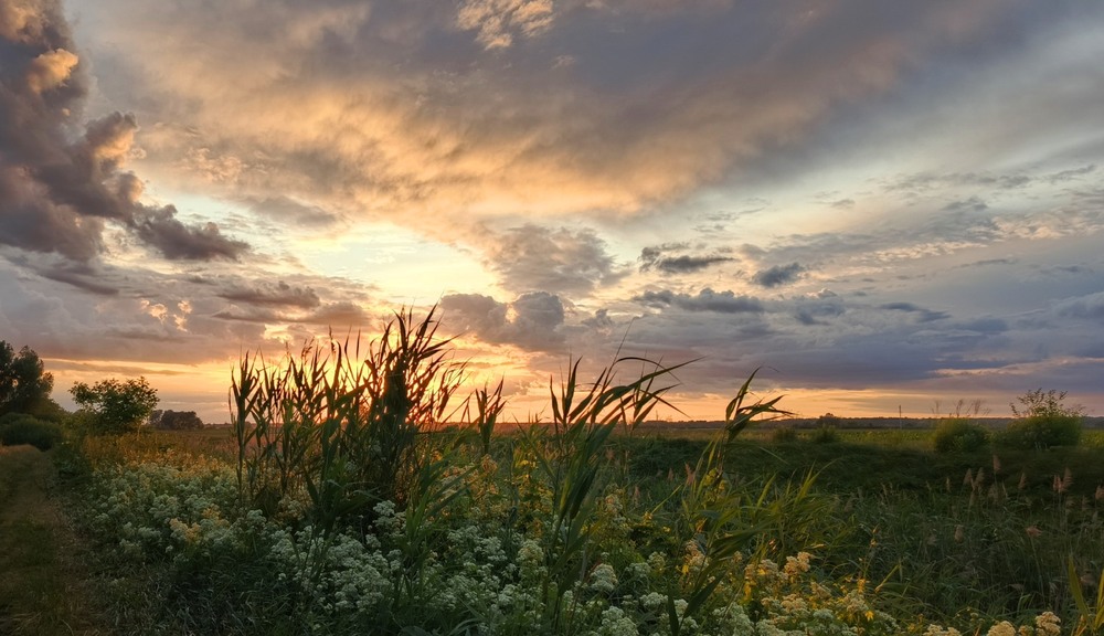 Фотографія Вечірня драма / Anatoliy Storchak / photographers.ua