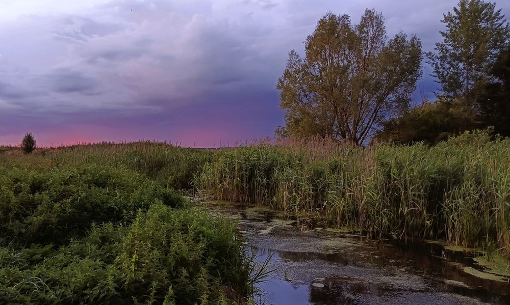 Фотографія Червневий пізній вечір / Anatoliy Storchak / photographers.ua