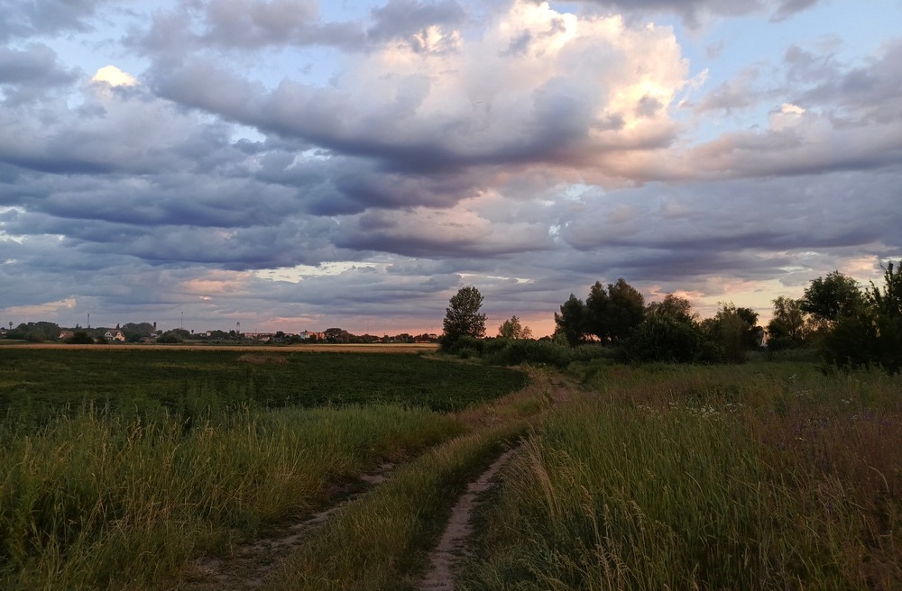 Фотографія Вечірня прогулянка / Anatoliy Storchak / photographers.ua
