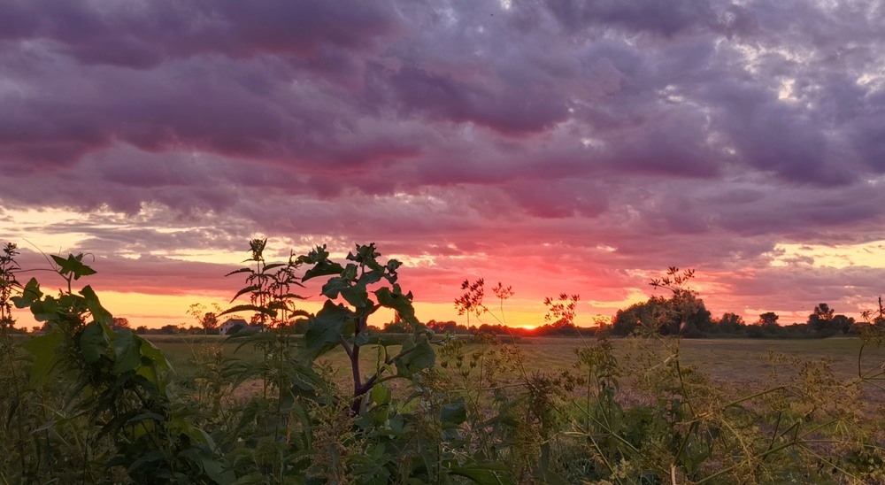 Фотографія На заході сонця / Anatoliy Storchak / photographers.ua
