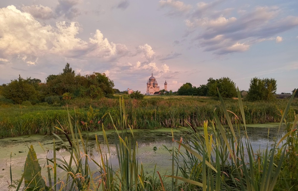 Фотографія Після літньої зливи / Anatoliy Storchak / photographers.ua