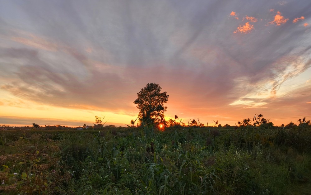Фотографія На заході літа / Anatoliy Storchak / photographers.ua