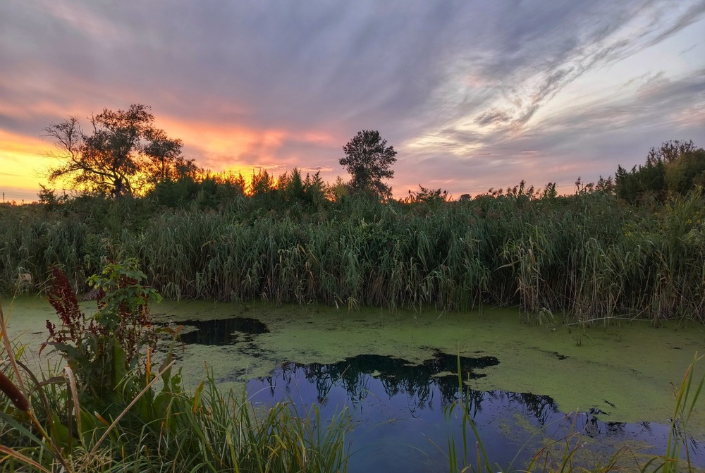Фотографія На заході літа / Anatoliy Storchak / photographers.ua