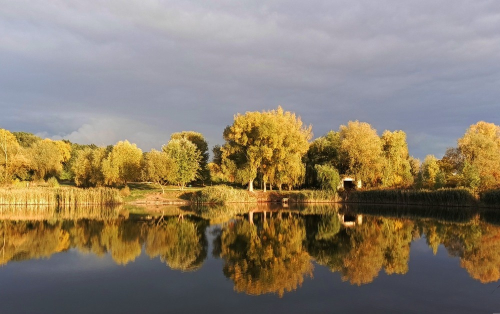 Фотографія Осінні відображення / Anatoliy Storchak / photographers.ua