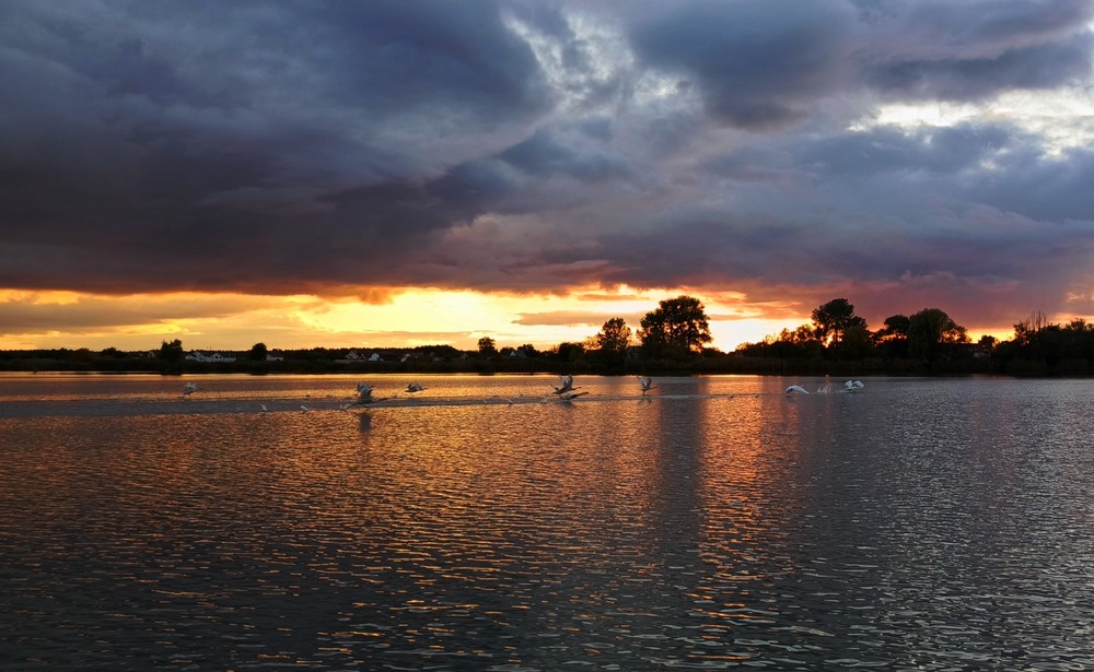 Фотографія Вечірній злет / Anatoliy Storchak / photographers.ua