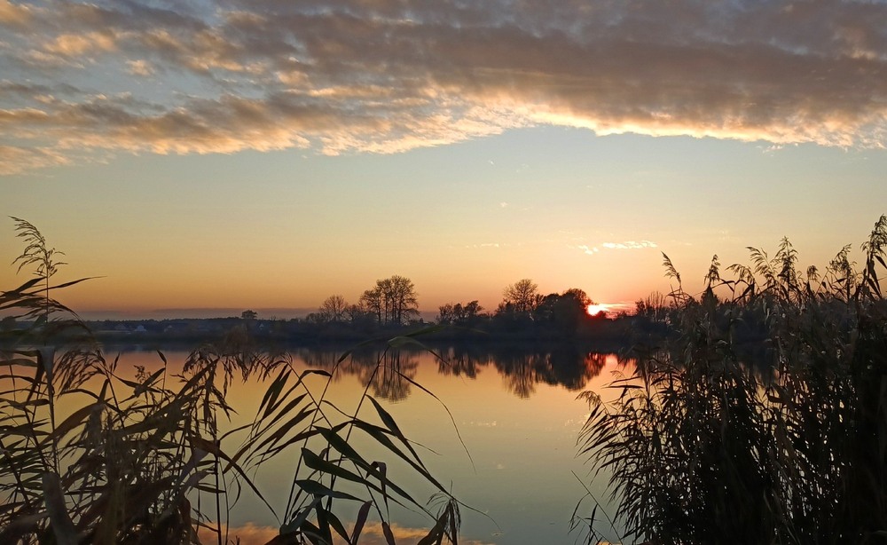 Фотографія Там, за очеретами / Anatoliy Storchak / photographers.ua