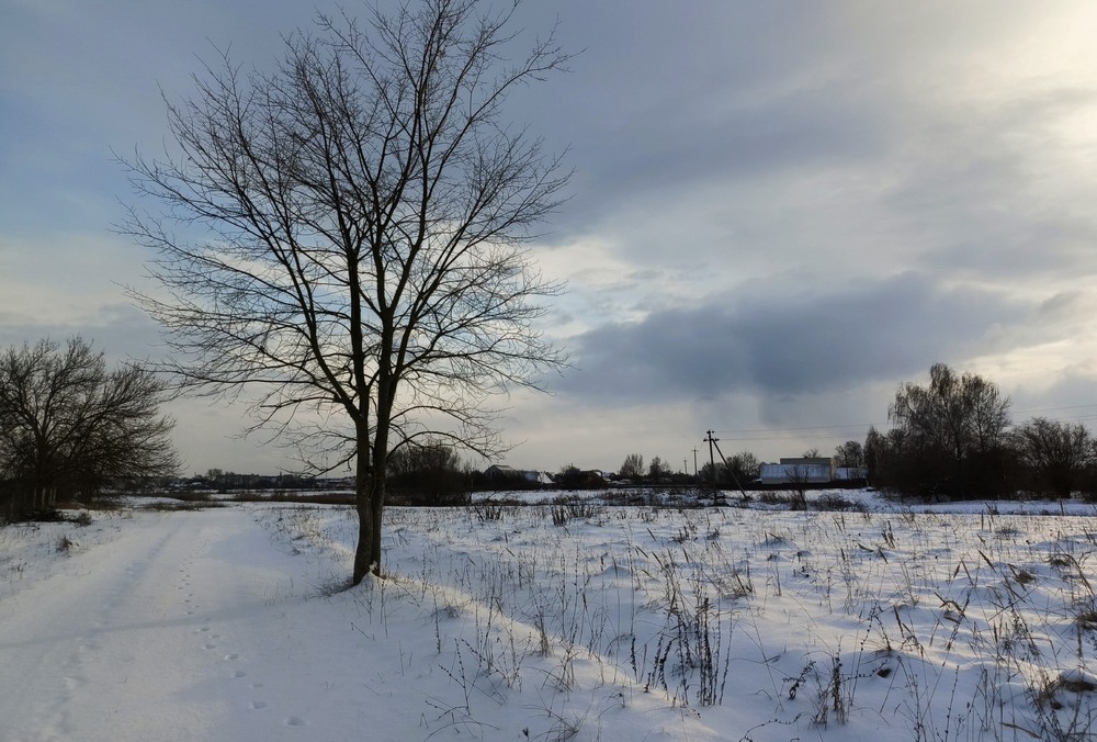 Фотографія Зимовий день / Anatoliy Storchak / photographers.ua