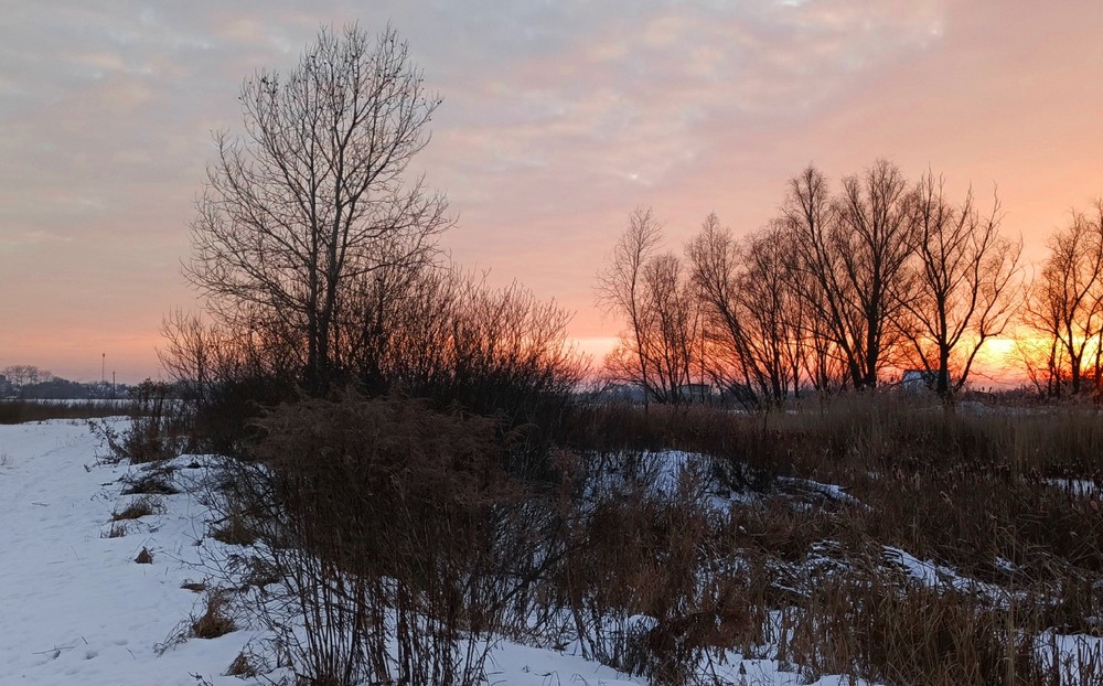 Фотографія Мороз припікає / Anatoliy Storchak / photographers.ua
