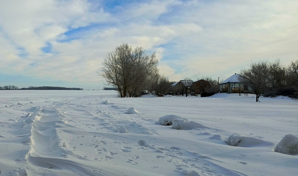 Фотографія Дуже морозний ранок / Anatoliy Storchak / photographers.ua