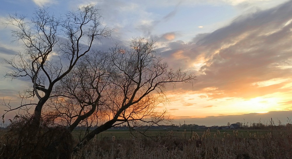 Фотографія Динаміка квітня / Anatoliy Storchak / photographers.ua