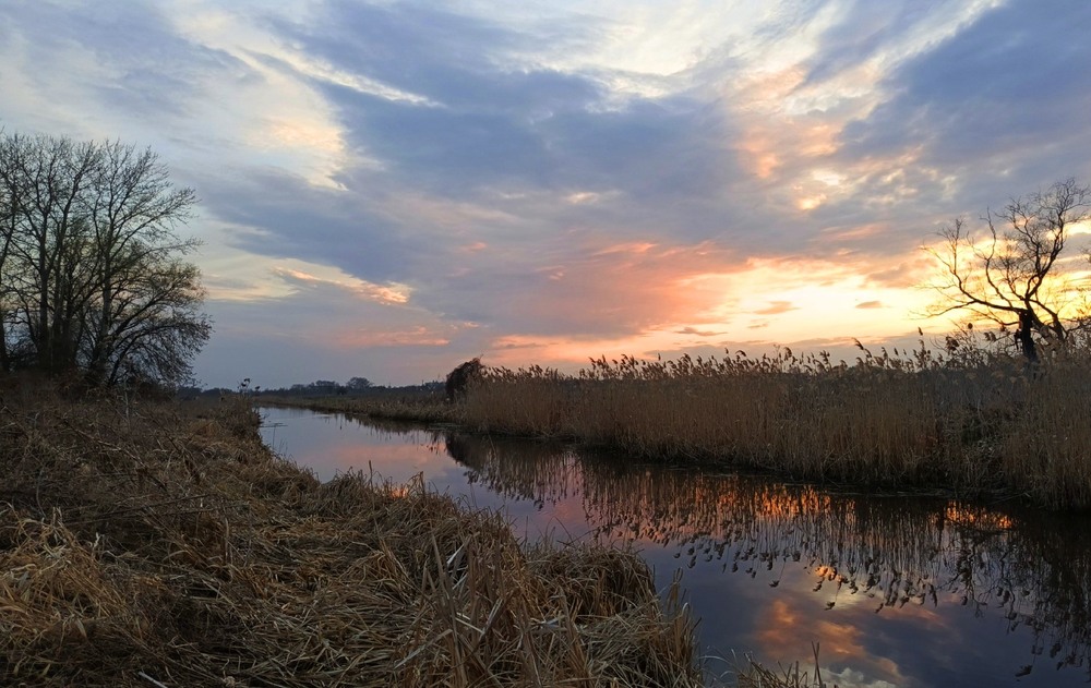 Фотографія Розмашистий пензлик квітня / Anatoliy Storchak / photographers.ua