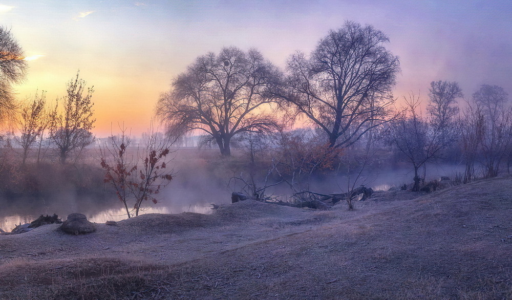 Фотографія Рождественское утро / Елена Демчихина / photographers.ua