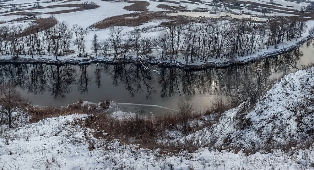 Фотографія Зима в разгаре / Елена Демчихина / photographers.ua