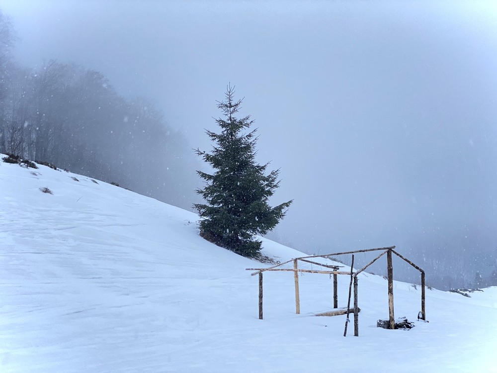 Фотографія Зима в горах / Анастасия Порохняк / photographers.ua