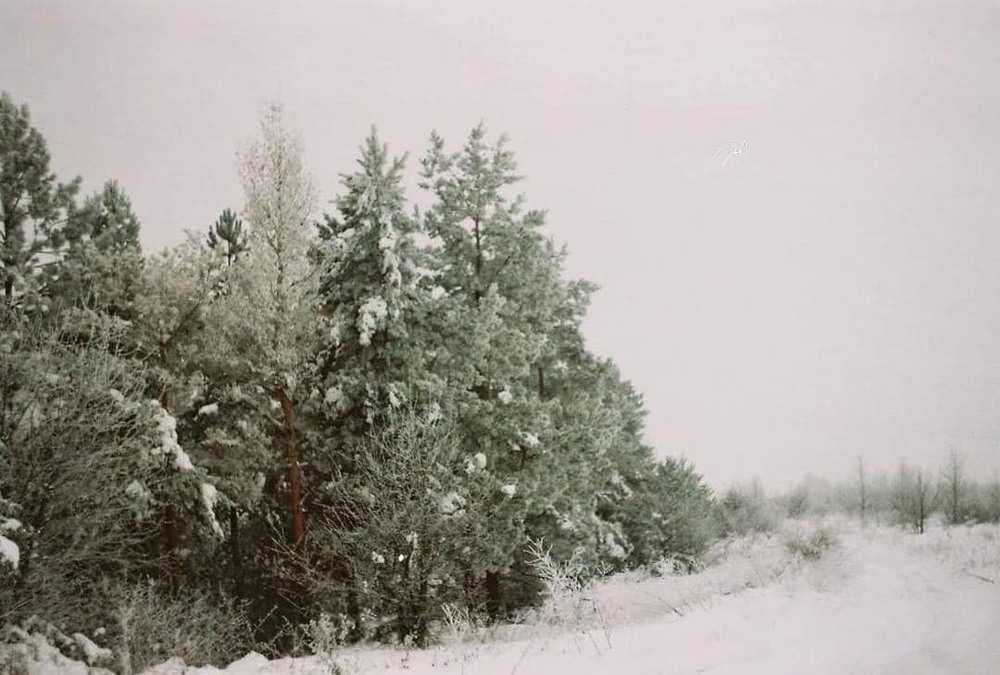 Фотографія Тихо  падал снег... / Анастасия Порохняк / photographers.ua