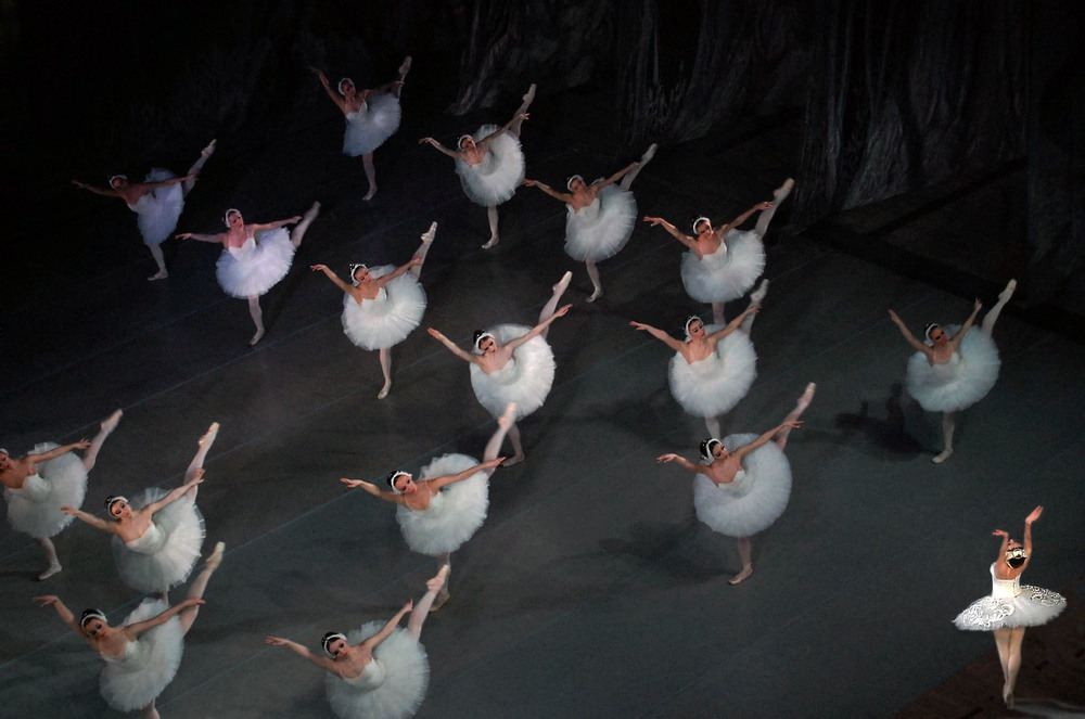 Фотографія Семнадцать белых Лебедей ... / Крутий Николай / photographers.ua