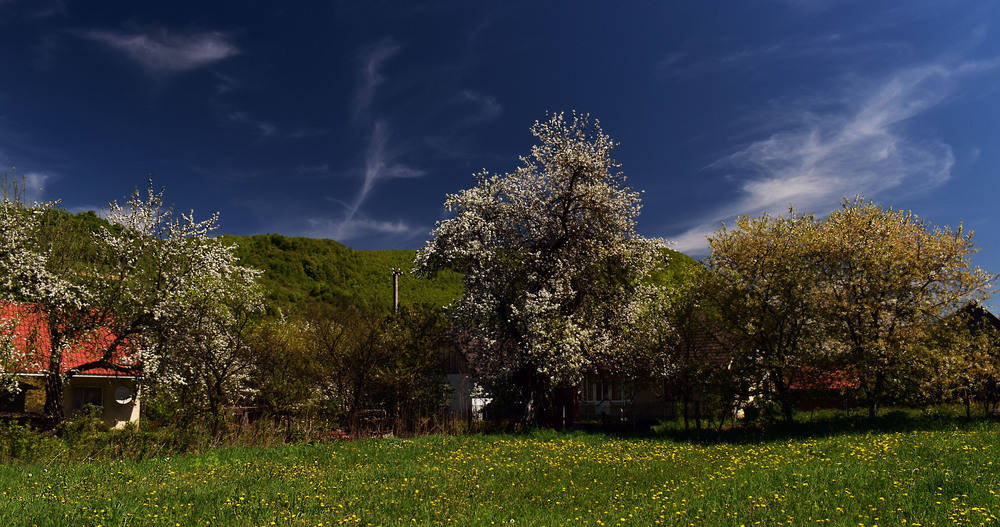 Фотографія Ставне / Крутий Николай / photographers.ua