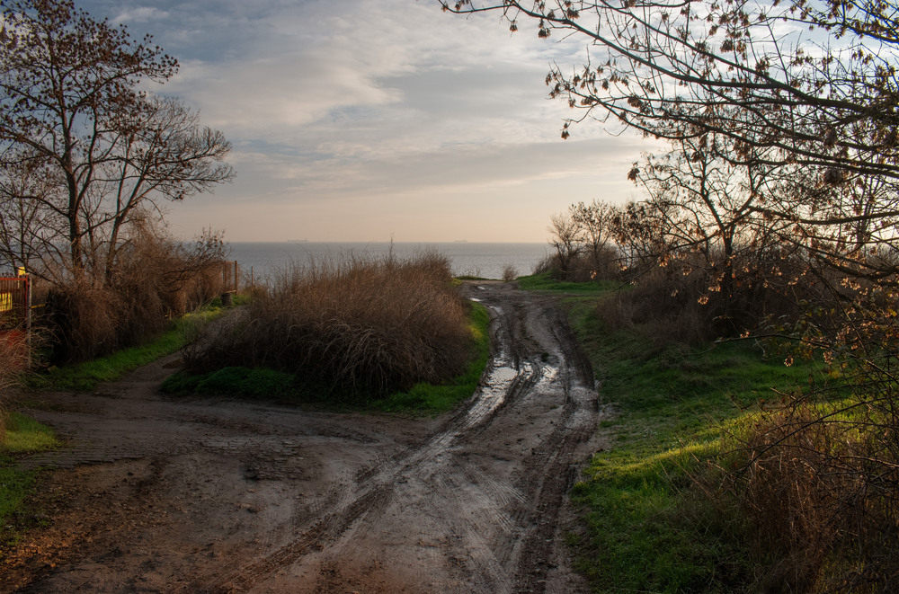 Фотографія Після дощу ... / Крутий Николай / photographers.ua