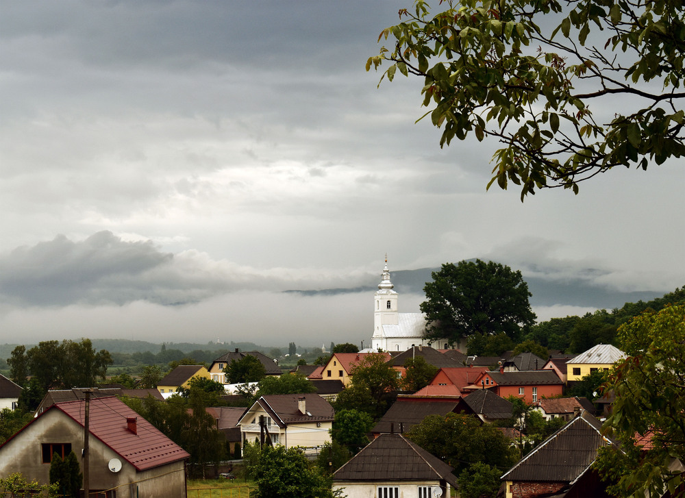 Фотографія Вільхівка / Крутий Николай / photographers.ua