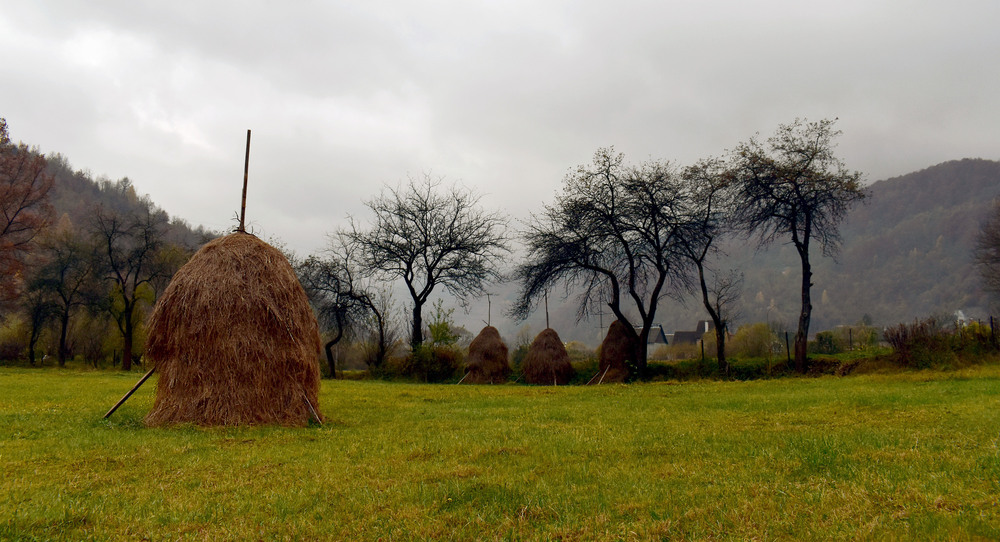 Фотографія Гуцульщина / Крутий Николай / photographers.ua