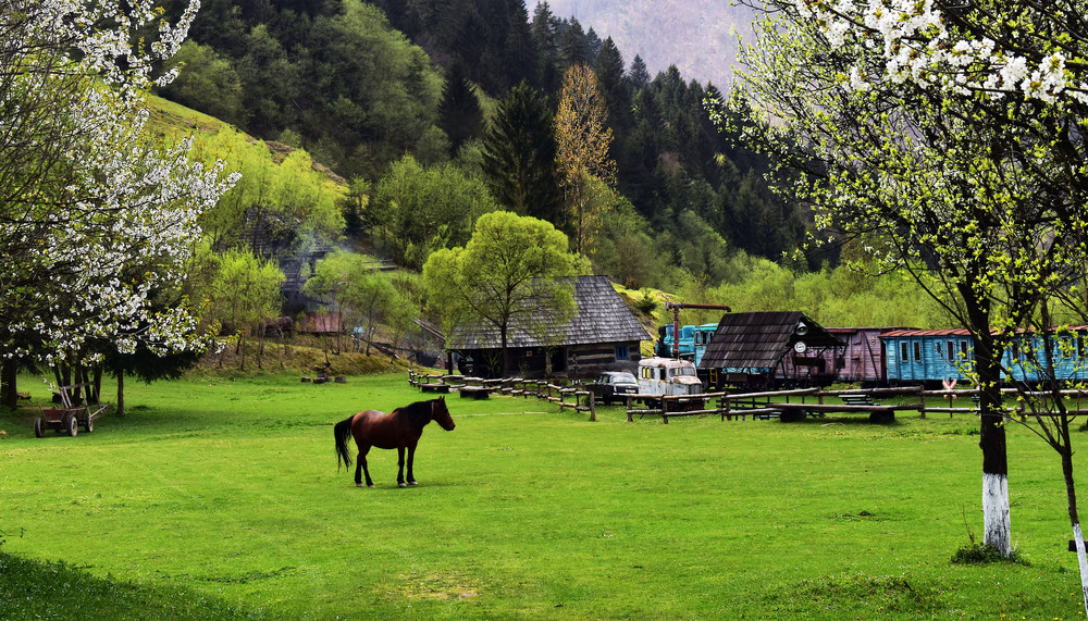 Фотографія у Іриски вихідний ... / Крутий Николай / photographers.ua