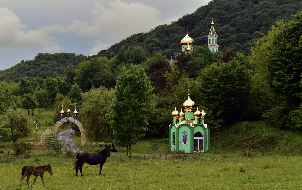 Фотографія Смуток / Крутий Николай / photographers.ua