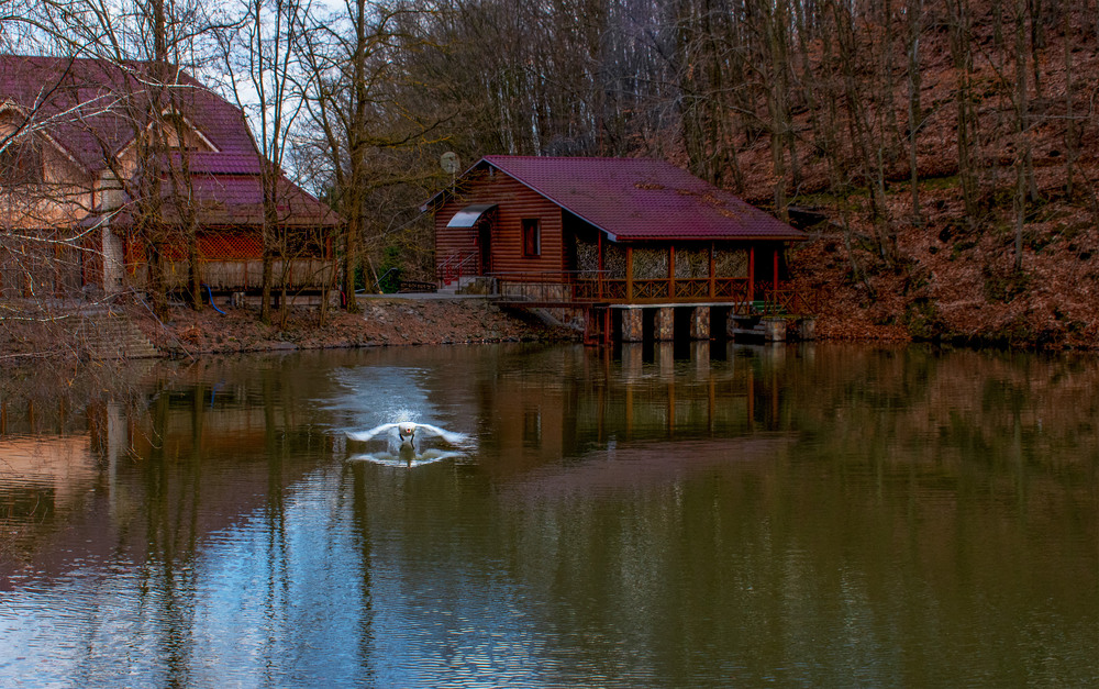 Фотографія Атас ! / Крутий Николай / photographers.ua
