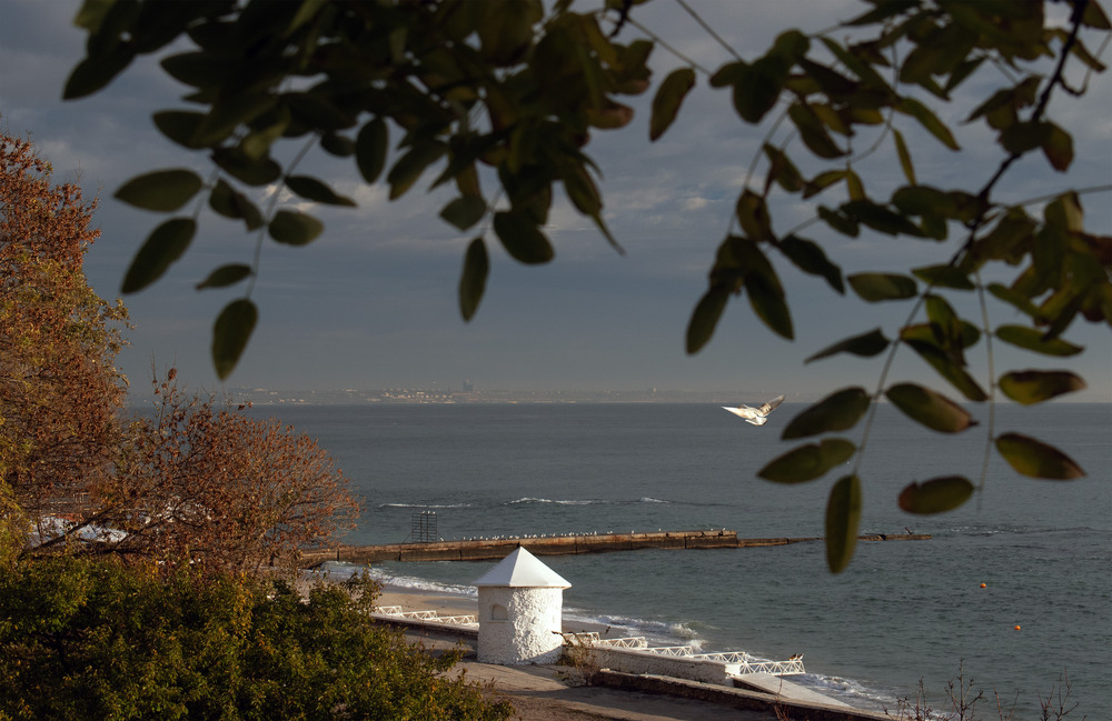 Фотографія біля моря / Крутий Николай / photographers.ua