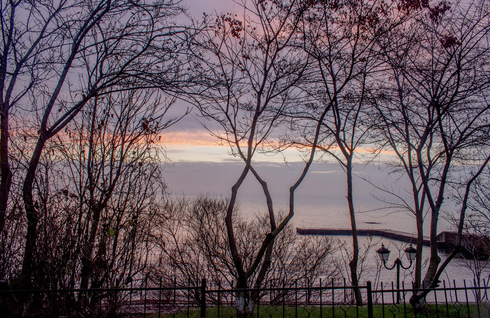 Фотографія Ранкова (2) / Крутий Николай / photographers.ua