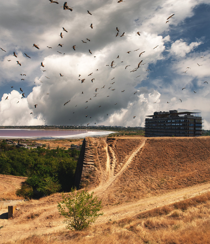 Фотографія пора у вирій вже збиратись, летіти десь за небокрай / Крутий Николай / photographers.ua