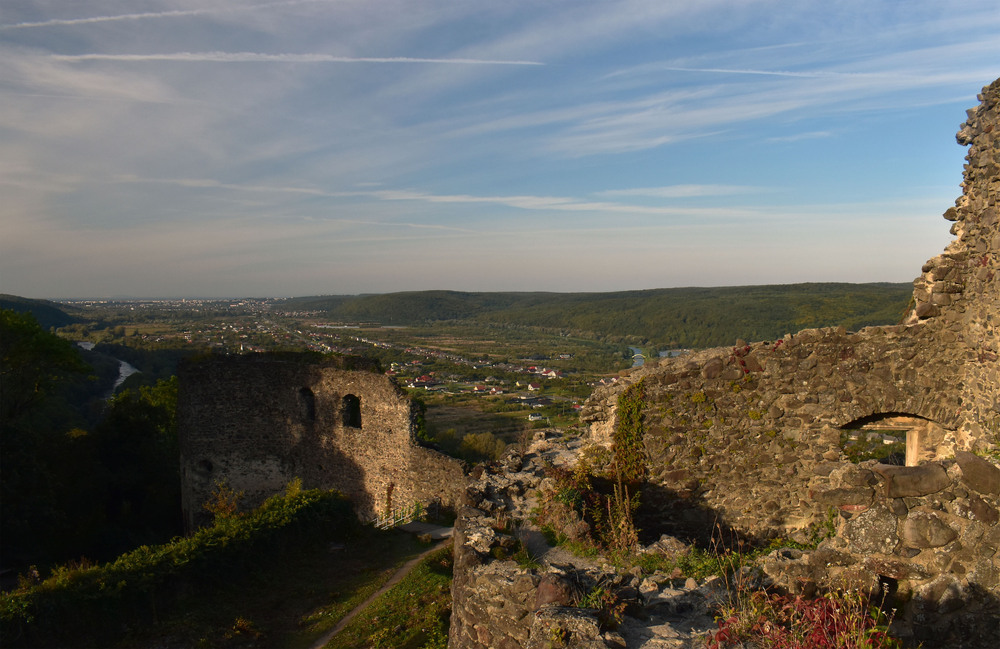 Фотографія Ранкова прогулянка / Крутий Николай / photographers.ua