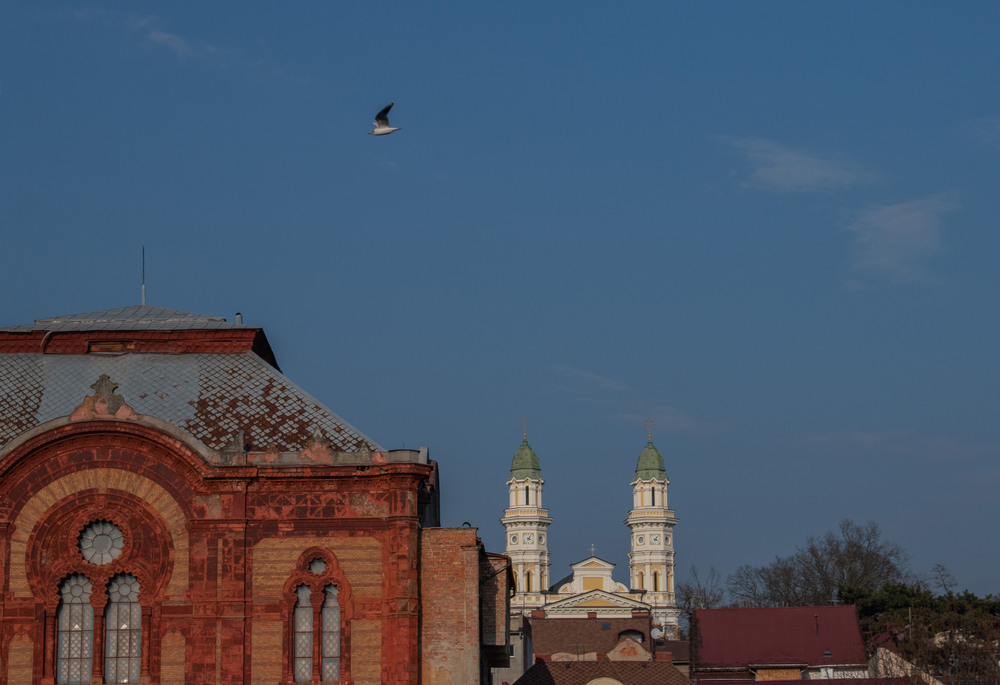 Фотографія березневі етюди / Крутий Николай / photographers.ua