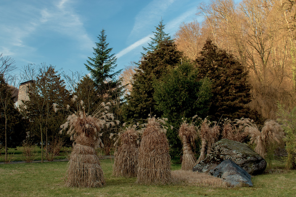 Фотографія Гармонія в дизайні / Крутий Николай / photographers.ua