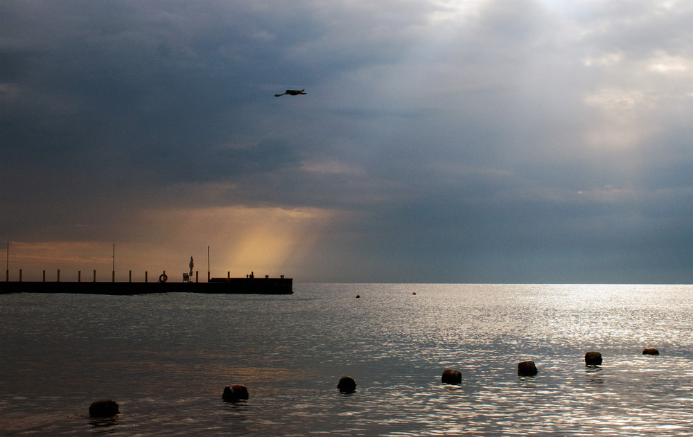 Фотографія хто рано встає ... / Крутий Николай / photographers.ua